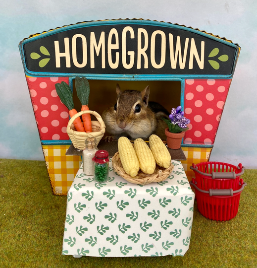 Chipmunk Farmers Market Notecard
