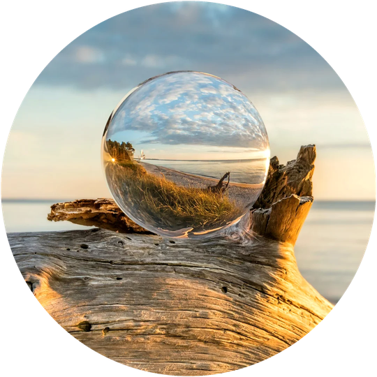 Drop On Wood Graphic Art Print on Glass