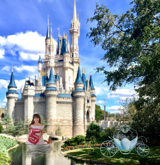 Custom Edit - Cinderella's Castle