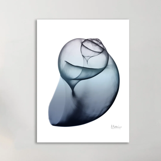 Lavendar Snail 3 - Wrapped Canvas Graphic Art Print