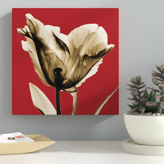 Red Luster Tulip_H30 - Wrapped Canvas Graphic Art Print