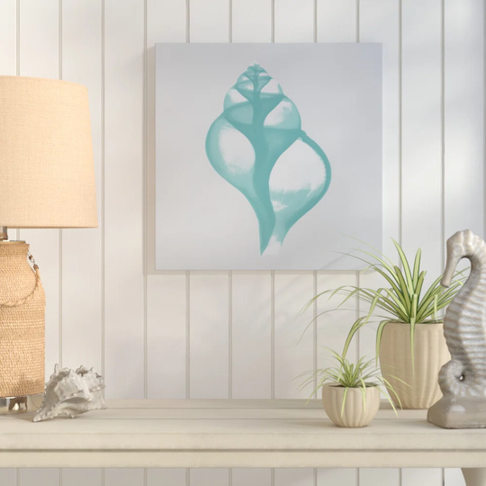 Aquifer Tulip Shell - Wrapped Canvas Graphic Art Print