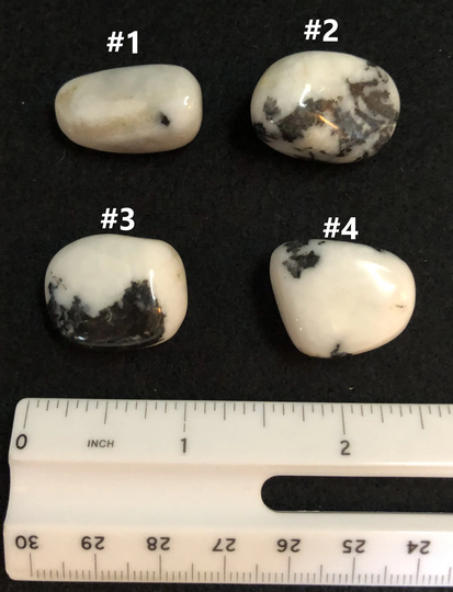 Zebra Jasper | Tumbled - Lot #1