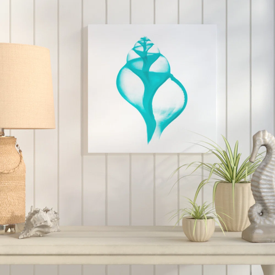 Tulip Shell - Wrapped Canvas Graphic Art Print