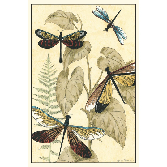 Graphic Dragonflies In Nature II by Megan Meagher - Wrapped Canvas Graphic Art