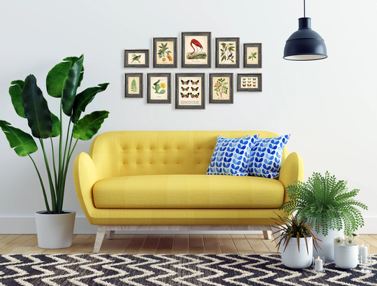 Set Of 10 Vintage Botanical Prints, Poster, Flower Butterfly Sunflower Flamingo Fern Leaf Rose Bird | Prints Ab