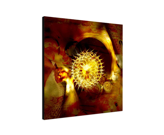 Enigma Abstract 351 Graphic Art Print on Canvas