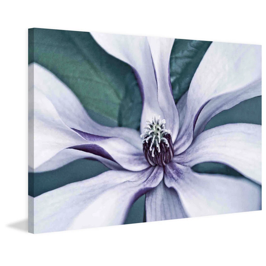 Intimate Bloom 2 by Leda Robertson - Wrapped Canvas Graphic Art Print