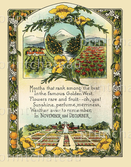 Winter Southern California Poem New Giclee Art Print San Diego Botanical Poinsettia Ranches From Vintage Poppies Orange Groves Printchateau