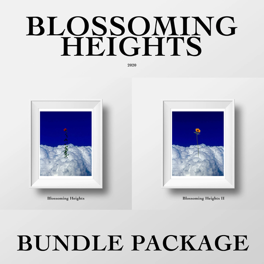 Limited Edition Blossoming Heights Bundle Package | Two 8.5x11 Prints Surreal Artwork Wall Art Decor Rose Sunflower
