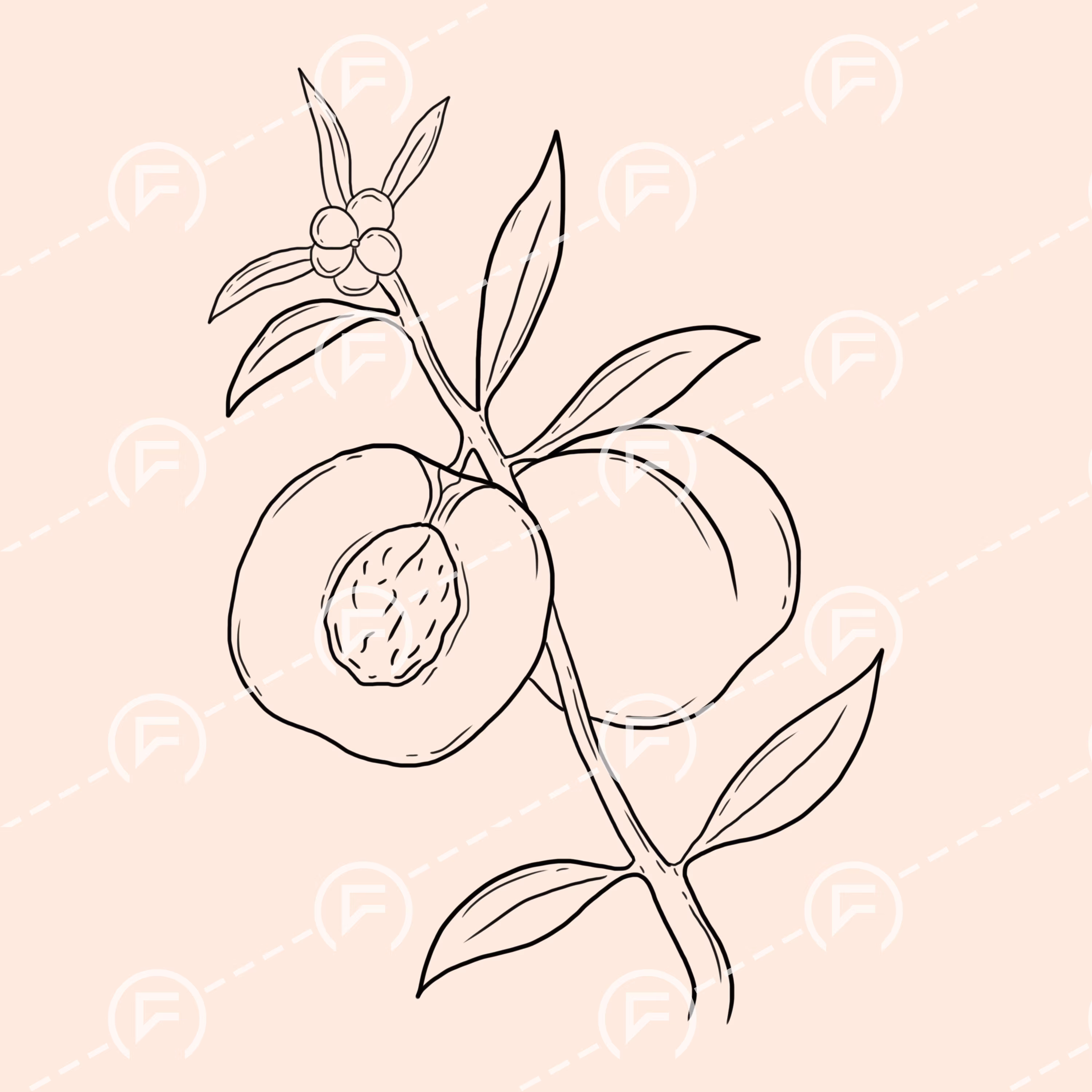Peach Branch, Botanical, Simple Line Art, Drawing, Digital, Color, New, Organic, Fruit, Artwork, Digital Print