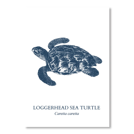 Sea Turtle Sea - Unframed Graphic Art Print on Paper