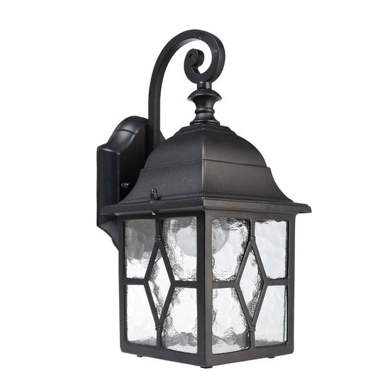 Sargas Black Outdoor Wall Lantern