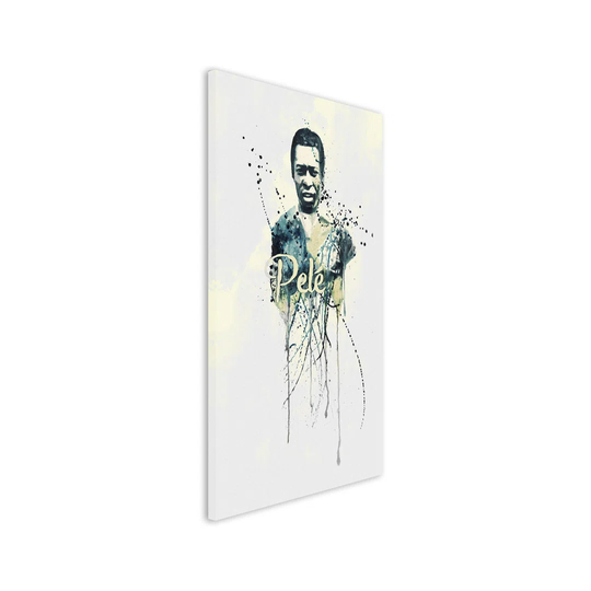 Enigma Pele VI Graphic Art Print on Canvas