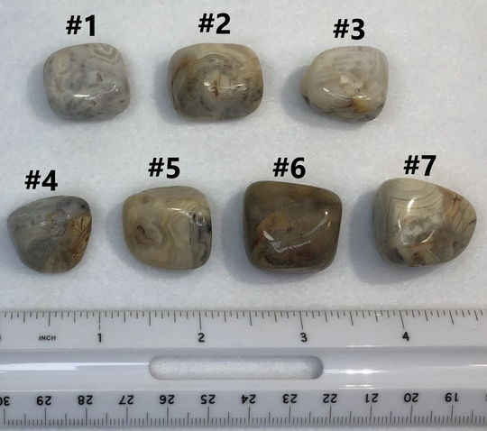 Crazy Lace Agate | Tumbled