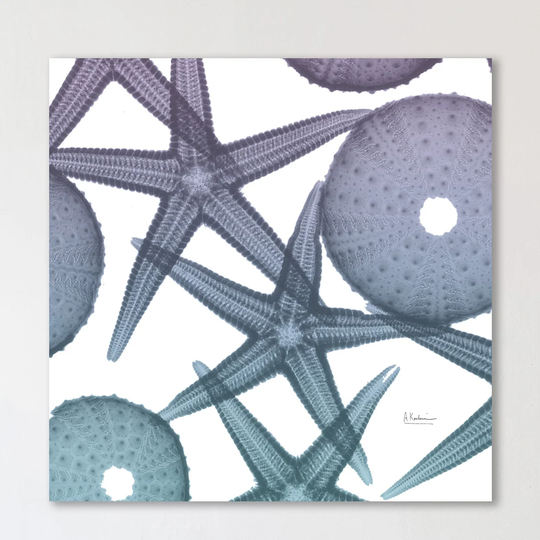 Lavendar Dipped Starfish 1 - Wrapped Canvas Graphic Art Print