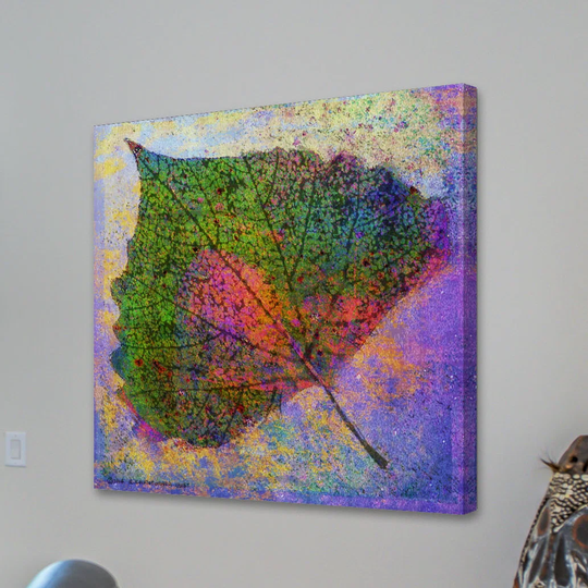 Cottonwood Leaf by Chris Vest - Wrapped Canvas Graphic Art Print