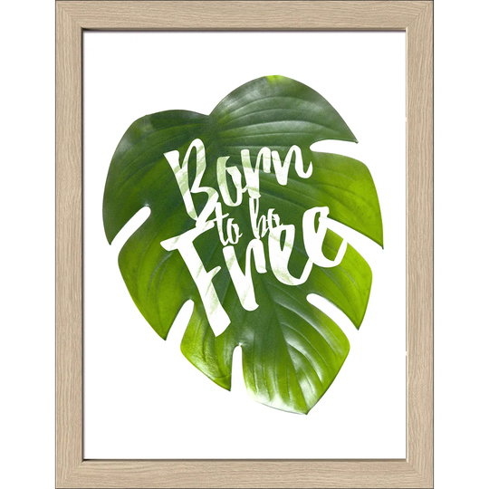 Born Free Framed Graphic Art Print Poster