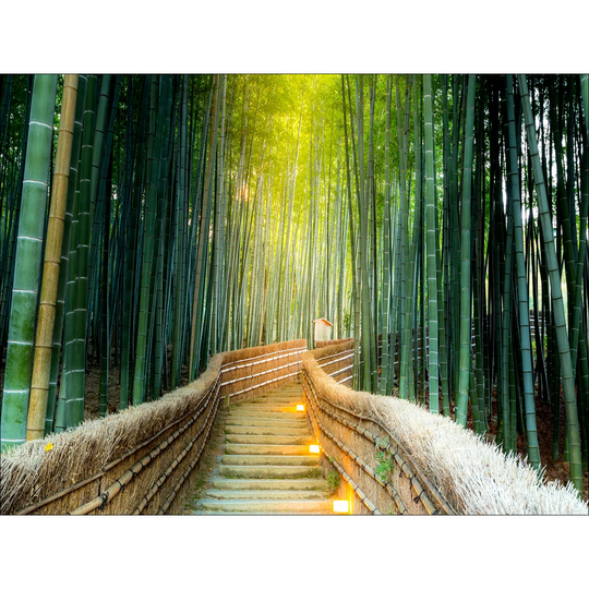 Bridge with Lights Graphic Art Print on Canvas