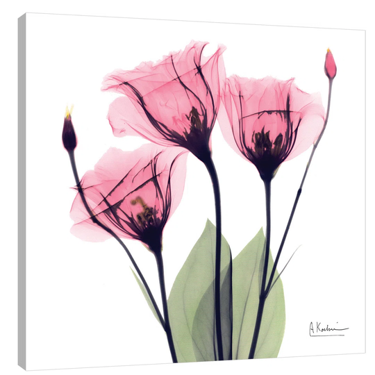 Gentian Faith - Wrapped Canvas Graphic Art Print
