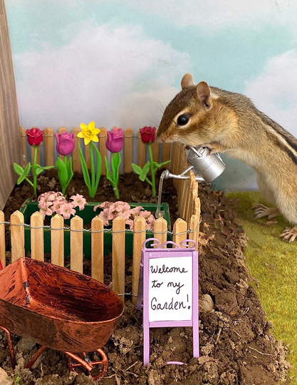 Chipmunk Gardening Notecard