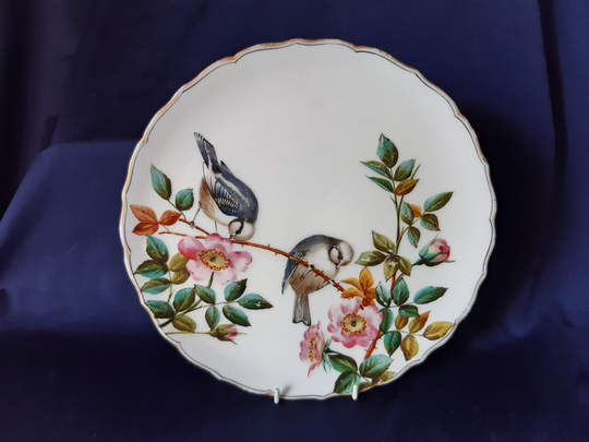 Antique Plate, Cabinet Wall Victorian George Jones & Sons, Bird Home Decor, Room Interiors