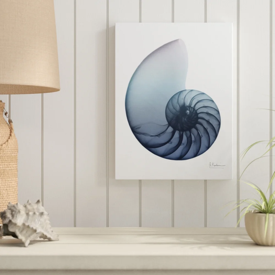 Lavendar Snail 4 - Wrapped Canvas Graphic Art Print