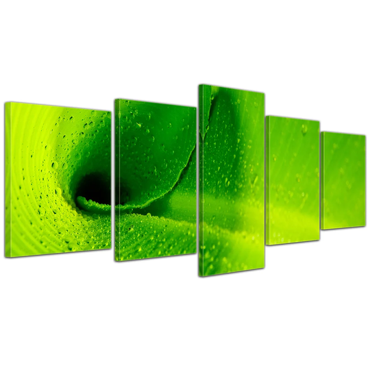 Banana Peel 5 Piece Graphic Art Set on Canvas