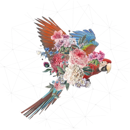 Parrot Graphic Art on Glass