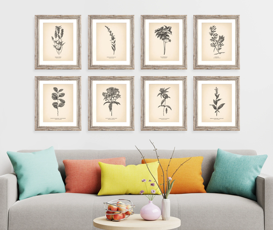 8x10'' Vintage Botanical Prints Set Of 8 Poster Wildflower Print Flower Art Neutral Decor