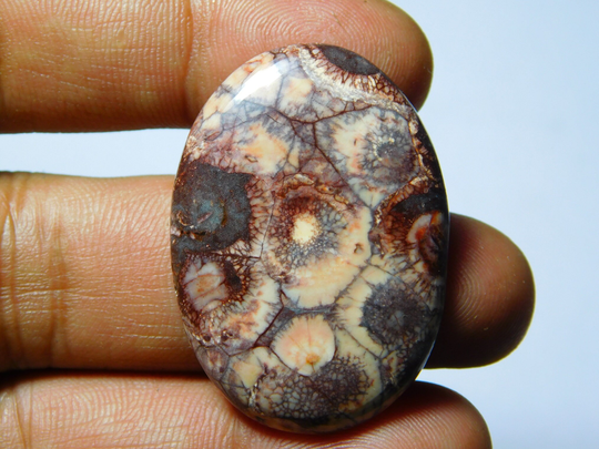 Bird Eye Jasper, Bird Jasper Gemstone, Bird Cabochons, Bird Loose Stone, Jasper Gemstone. 42Cts(38x27mm