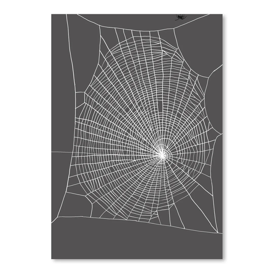 Spiderweb 2 by Jorey Hurley - Unframed Graphic Art Print on Paper