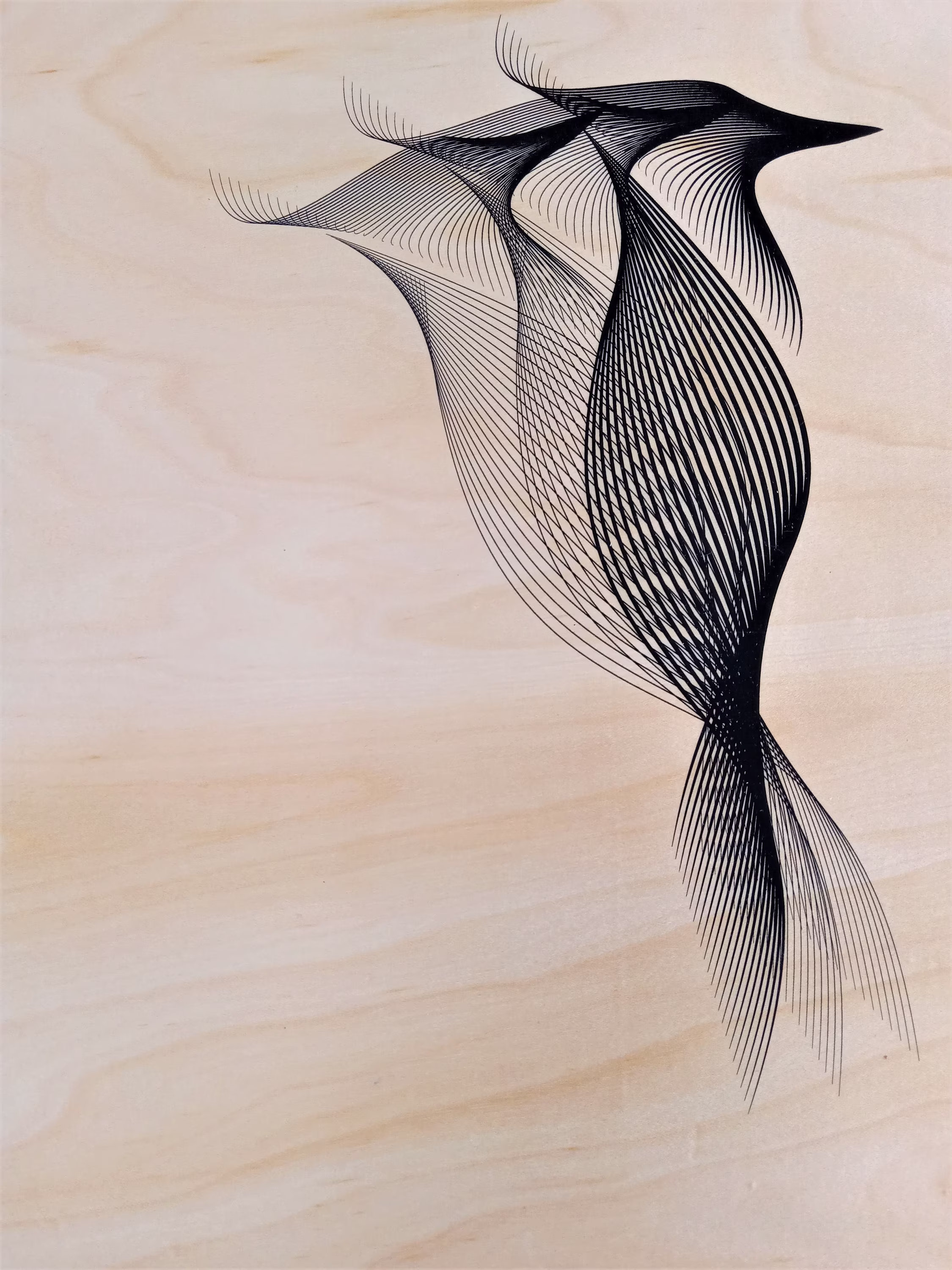 Poster | On Maple Wood Of A Woodpecker, Stunning Piece Graphic Design For Any Bird Lover