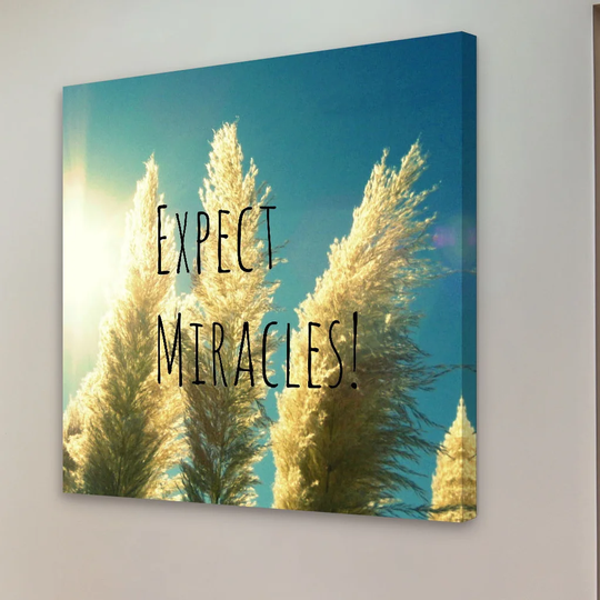 Expect Miracles Text by Robert Dickinson - Wrapped Canvas Graphic Art Print