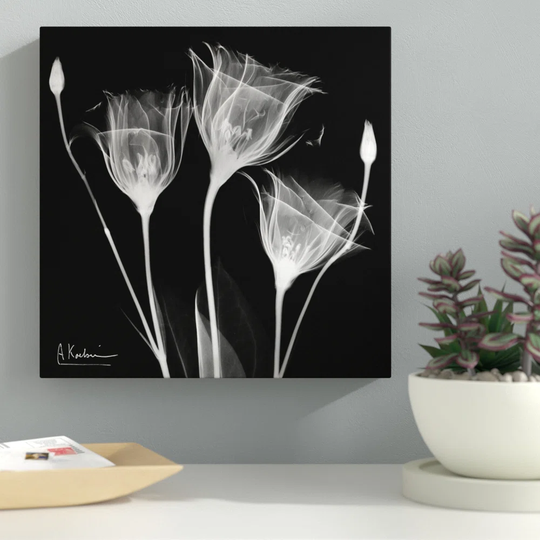 Gentian White - Wrapped Canvas Graphic Art Print