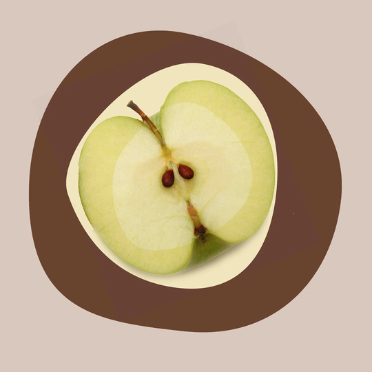 September Apple by Irena Orlov - Wrapped Canvas Graphic Art Print