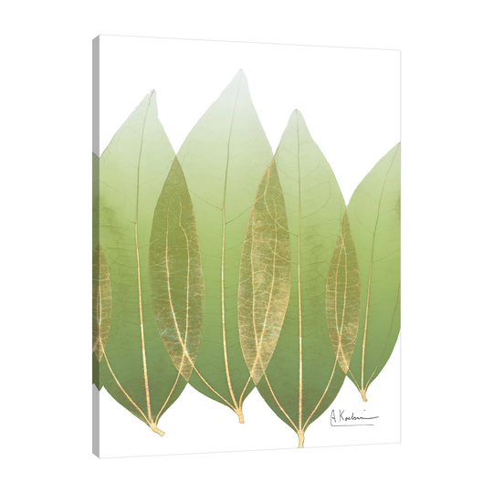 Golden Coculus - Wrapped Canvas Graphic Art Print