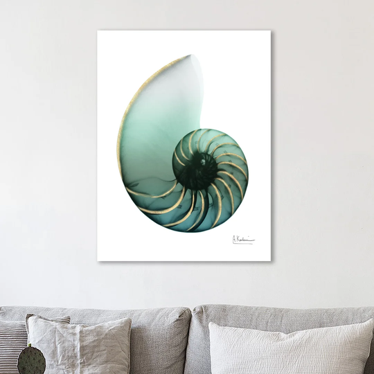 Shimmering Snail 4 - Wrapped Canvas Graphic Art Print