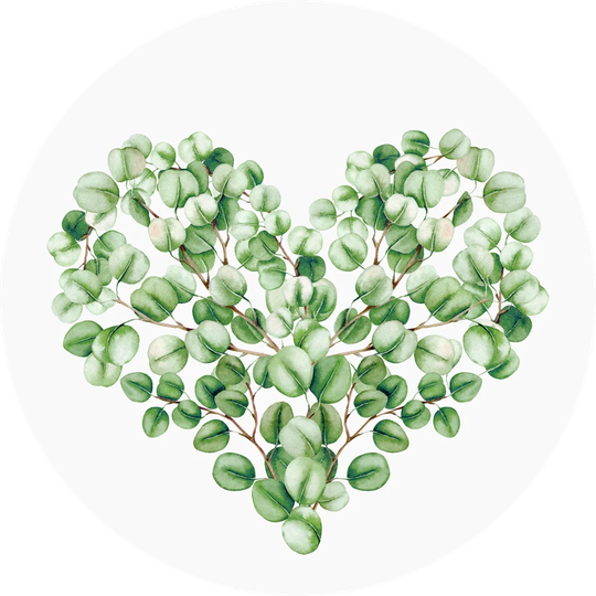 Eucalyptus Heart Graphic Art Print on Glass