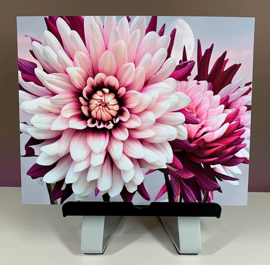 Rebecca's World Vivid Dahlia Giclee Print