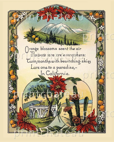 Southern California Poem New Giclee Art Print San Diego Poinsettia Deserts Mountains Snow Orange Groves From Printchateau