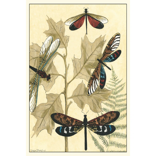 Graphic Dragonflies In Nature I by Megan Meagher - Wrapped Canvas Graphic Art