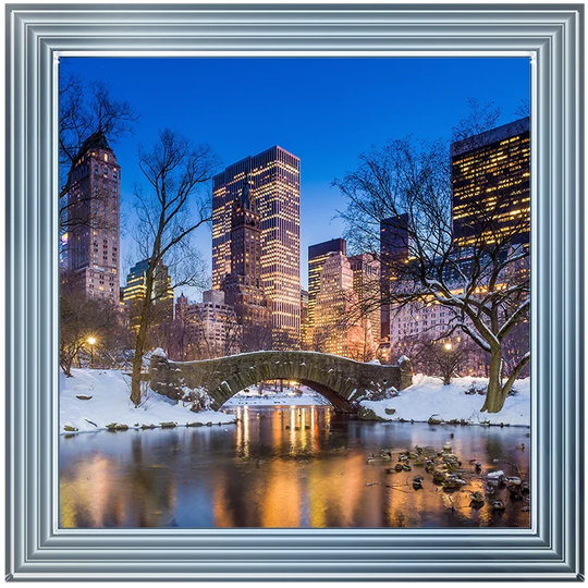 'Winter Snow in Central Park' Framed Graphic Art Print on Glass
