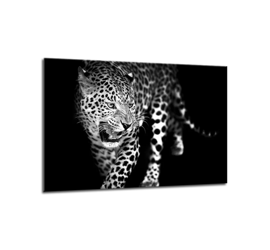 Glasspik Animals - Picture Frame Graphic Art Print