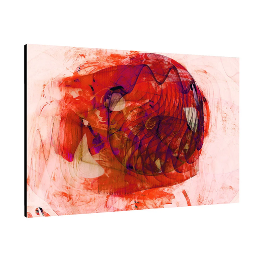 Enigma Abstract 376 Graphic Art Print on Canvas