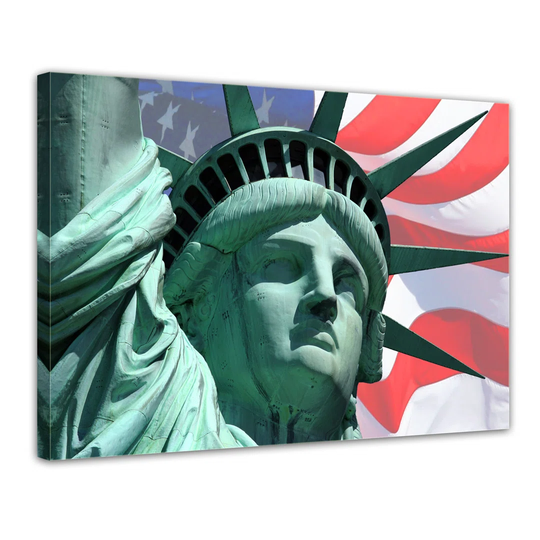 Statue of Liberty Close Up Framed Graphic Art