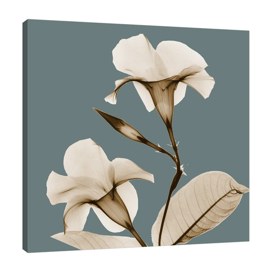 Blue Luster Mandelilla - Wrapped Canvas Graphic Art Print on Canvas