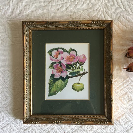 Vintage Usps Graphic Art For Stamp Imagery. This Item Was Not Sale. Official Licensed Product Of The Us Postal Service. Reuse Frame