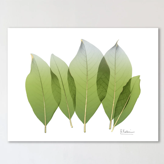 Golden Magnolia Leaf - Wrapped Canvas Graphic Art Print