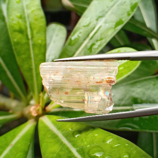 11.51 Carat. Crystal Color Change Turkish Diaspore. Natural, Geniune.(Unheat & Untreated